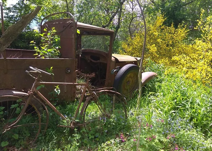 B&B La Ferme Les Mamours La Bastide-l'Eveque