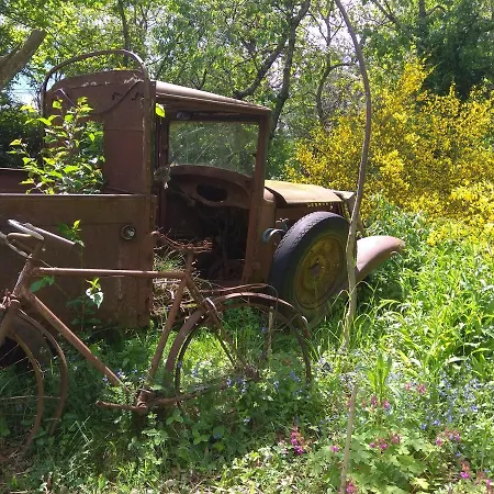 Frühstückspension La Ferme Les Mamours La Bastide-l'Eveque